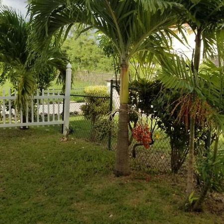 Cynson Villa Holiday Accommodations Κράιστ Τσερτς Εξωτερικό φωτογραφία