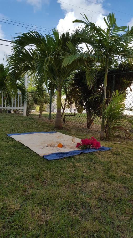 Cynson Villa Holiday Accommodations Κράιστ Τσερτς Εξωτερικό φωτογραφία