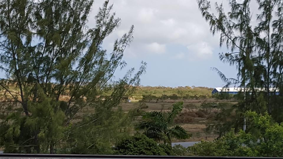Cynson Villa Holiday Accommodations Κράιστ Τσερτς Εξωτερικό φωτογραφία