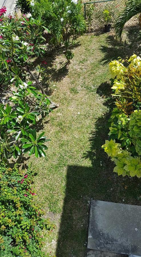 Cynson Villa Holiday Accommodations Κράιστ Τσερτς Εξωτερικό φωτογραφία