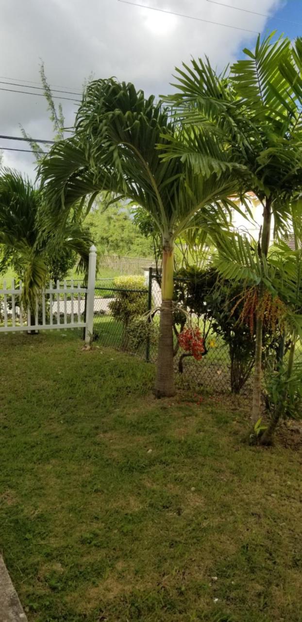 Cynson Villa Holiday Accommodations Κράιστ Τσερτς Εξωτερικό φωτογραφία